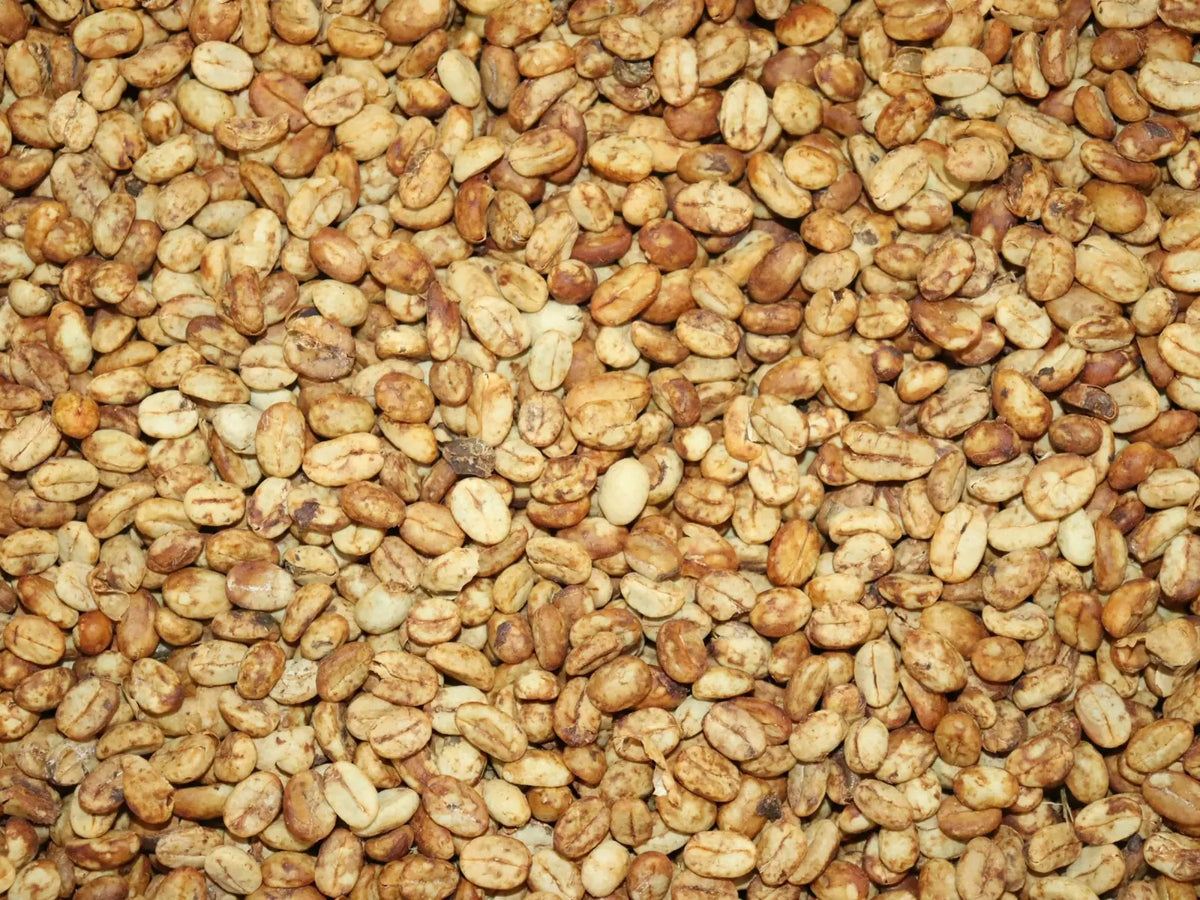 Honey-Kaffee: Bohnen mit getrockneter, klebriger Fruchtschicht